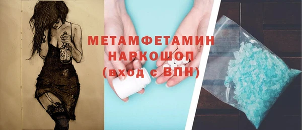 прущие грибы Пересвет