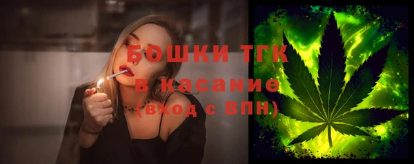 сатива Бородино