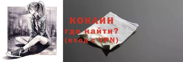 прущие грибы Пересвет