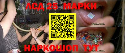 мяу мяу мука Беслан