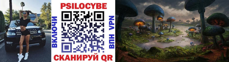 Псилоцибиновые грибы Cubensis где найти Волжск