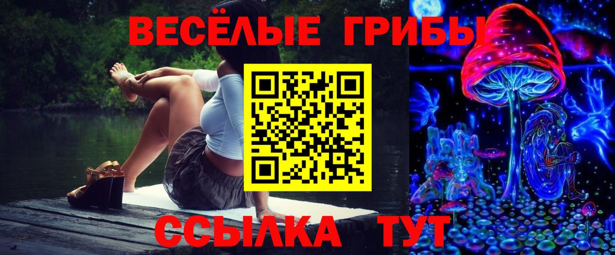 Псилоцибиновые грибы Cubensis  Вход с VPN  Волжск 
